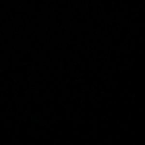 Meet your Posher, Josue